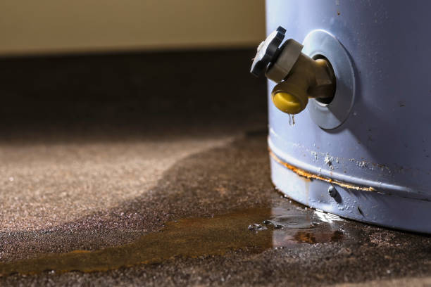 Best Water damage restoration near me  in Westwood Shores, TX
