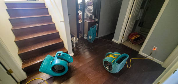 Best Residential water damage restoration  in Westwood Shores, TX