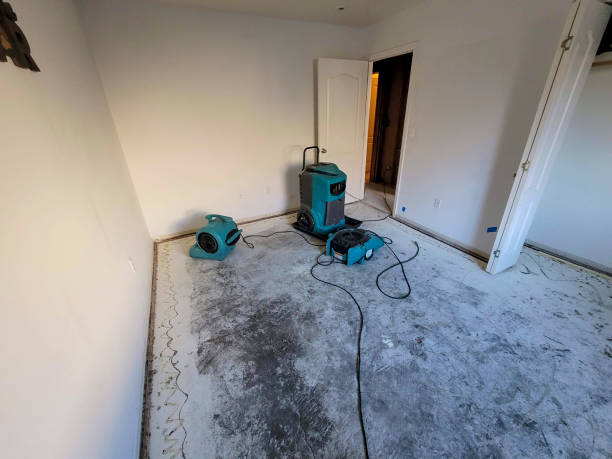 Reliable Westwood Shores, TX Water damage restoration Solutions