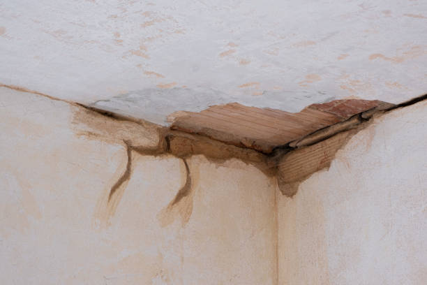 Best Ceiling water damage repair  in Westwood Shores, TX