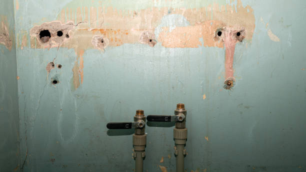 Best Water damage restoration experts  in Westwood Shores, TX